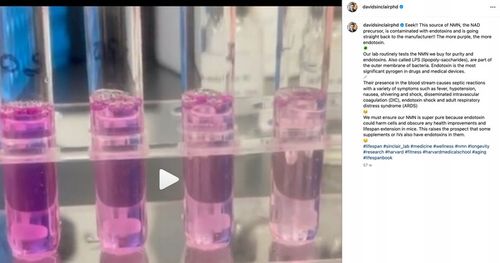 PROTON LABS NMN 15 g czysty proszek 100% mononukleotyd PRZEBADANY 100% pure na Arena.pl