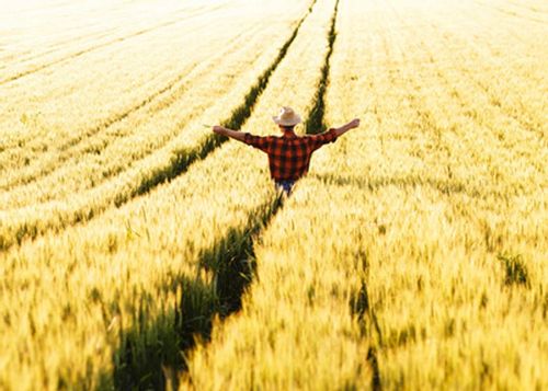 AGROSAR 360SL 20L Herbicyd na Arena.pl