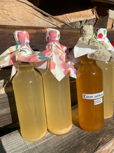 OCET JABŁKOWY BIO NIEFILTROWANY ŻYWY NIEPASTERYZOWANY MATKA OCTOWA 500 ml na Arena.pl