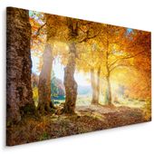 Obraz Canvas Do Salonu Jesienny Krajobraz Las Natura Pejzaż 120cm x 80cm