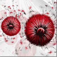 40CM 40CM OBRAZEK CZERWONE DMUCHAWCE 5 DRUK PŁÓTNO OBRAZ