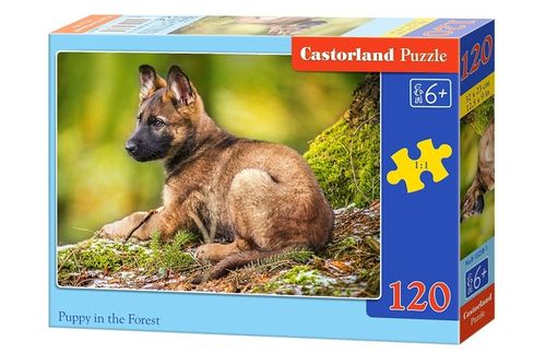 Castor 120 ELEMENTÓW Szczeniak w lesie na Arena.pl