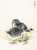 Plakat 60x80cm Black Brant, Kashu Japoński Vintage do Salonu