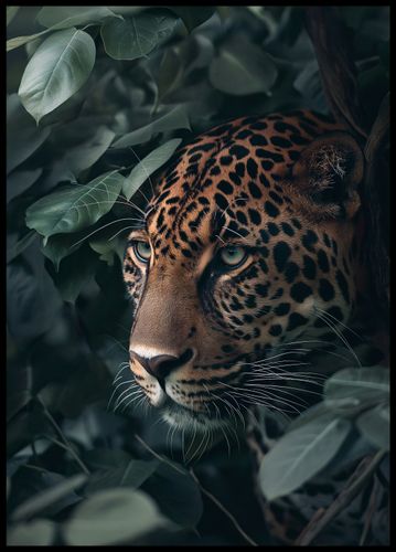 Plakat 64x90cm Schowany w Cieniu na Arena.pl