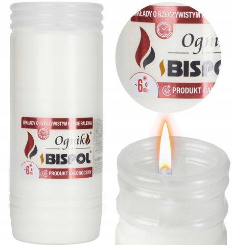 BISPOL - Wkład Zalewany Ognik WP6 - 1 szt. na Arena.pl