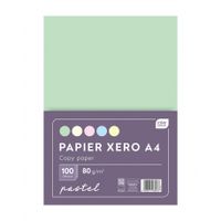 PAPIER XERO PASTELOWE KOLORY INTERDRUK A4 80G 5X20SZT