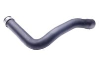 Przewód chłodnicy do MERCEDES C-Class