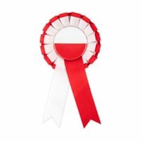 Kotylion przypinka z flagą Polski, biało-czerwony