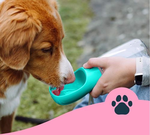 Butelka na wodę z miseczką dla psa kolor miętowy na Arena.pl