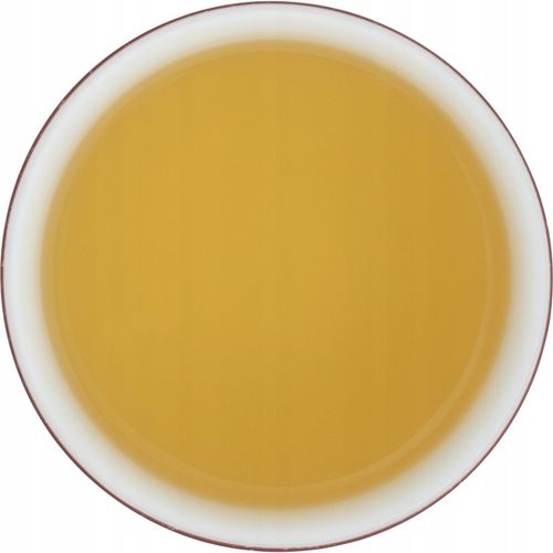 Herbata zielona Basilur Sencha Green - 100 Saszetek na Arena.pl