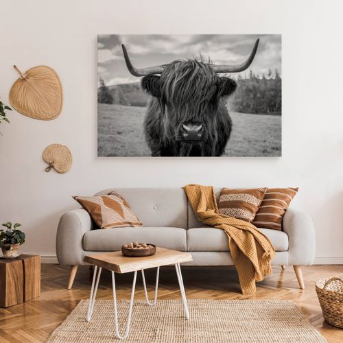 Obraz Do Sypialni Krowa Szkocka Na Tle Traw Czarno-Biały 90cm x 60cm na Arena.pl