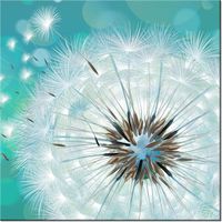 product-compare-58644529