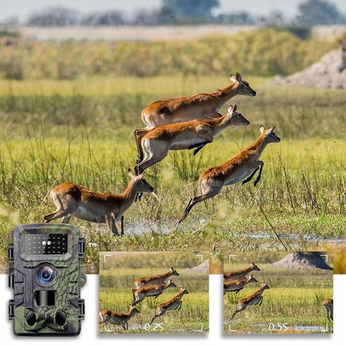 Kamera Leśna Fotopułapka Myśliwska Ip66 Czujnik Ruchu IR Tryb Nocny na Arena.pl
