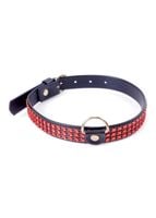 fetish b   series collar with crystals 2 cm red line