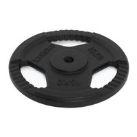 Obciążenie żeliwne XTREXO TRX-ICP015 15 kg chrom 15 kg