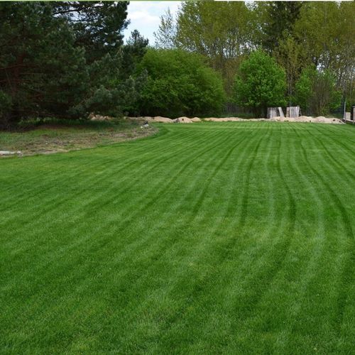 Trawa UNIWERSALNA nasiona trawy SAMOZAGĘSZCZAJĄCA odporna na DEPTANIE 25kg na Arena.pl