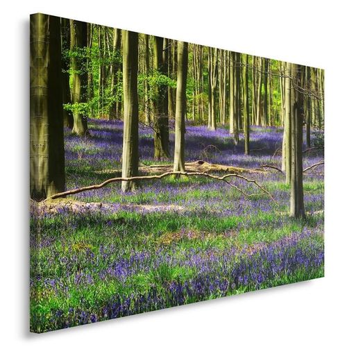 Obraz na płótnie - Canvas, Kwiaty leśne 40x30 na Arena.pl