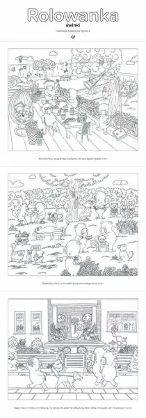 Rolowanka. Świnki zdjęcie 1