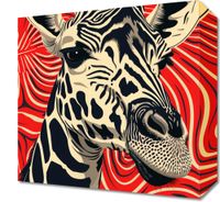 product-compare-59505988