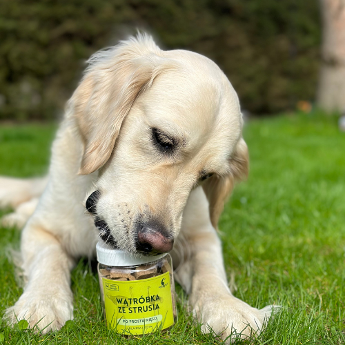Liofilizowane mięso cielęce, wątróbka strusia, żołądki z kurczaka dla psa na Arena.pl