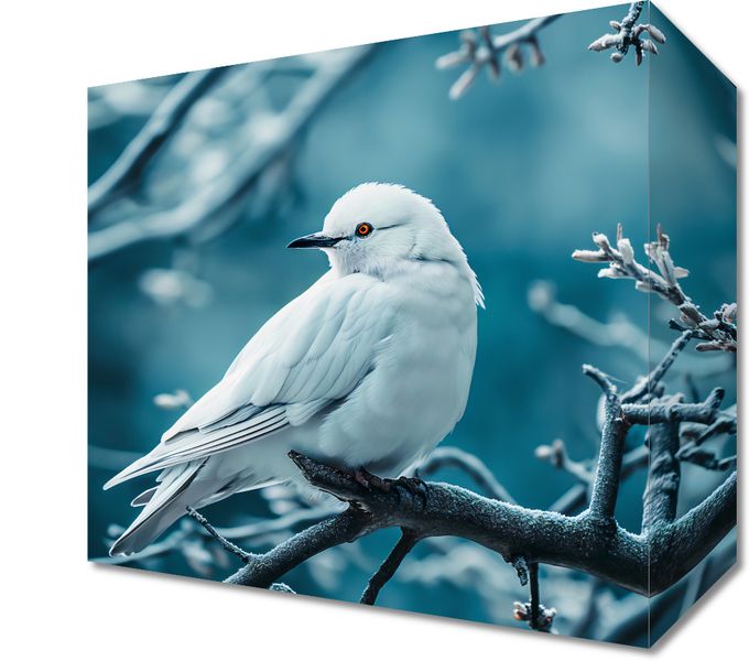 Obraz 20x20cm Perłowy Ptak zdjęcie 1