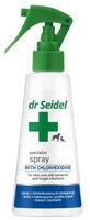 Dr Seidel Spray Z Chlorheksydyną - Do Skóry Z Bakteryjnymi I Grzybiczymi