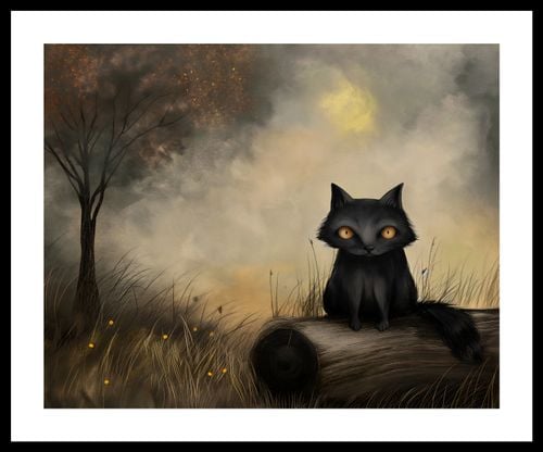 Plakat 50x40cm Czarny Kot na Arena.pl