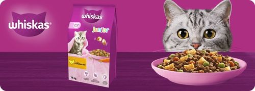 SUCHA KARMA WHISKAS JUNIOR Z PYSZNYM KURCZAKIEM 14KG na Arena.pl