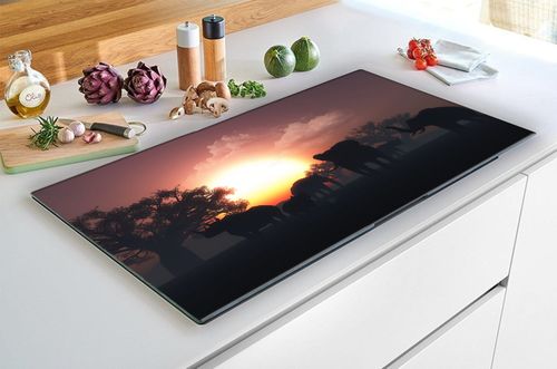 SZKLANA DESKA NA KUCHENKĘ 60x52 066A SŁONIE na Arena.pl