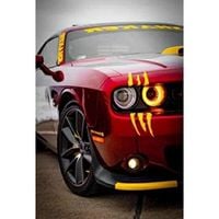 Naklejka The BEAST Zadrapanie Ślady Pazury cięcie żółty pazur w lewo rana