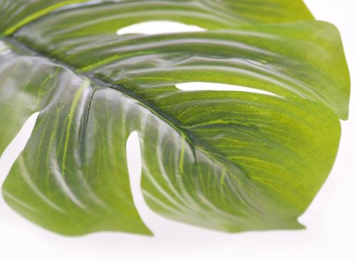 Liść philo ceratowy 18cm na Arena.pl