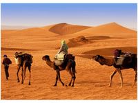 50X70CM PODRÓŻ PO PUSTYNI OBRAZ POKOJU DREWNINE