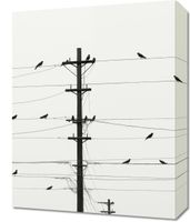 Obraz 40x50cm Symfonia na Drutach