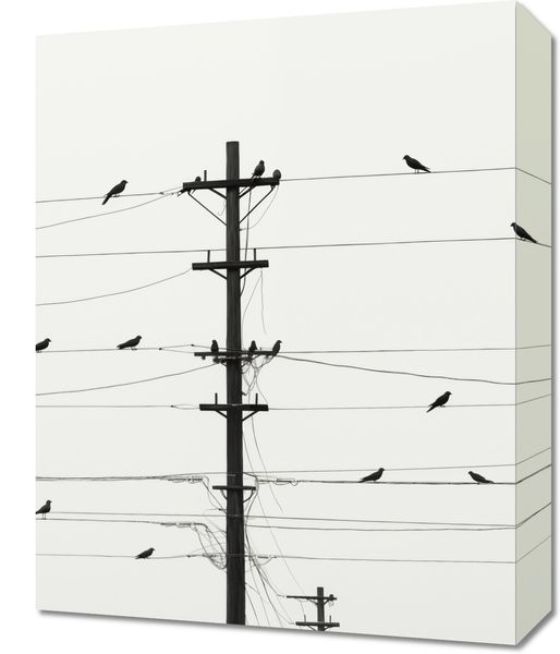 Obraz 40x50cm Symfonia na Drutach zdjęcie 1