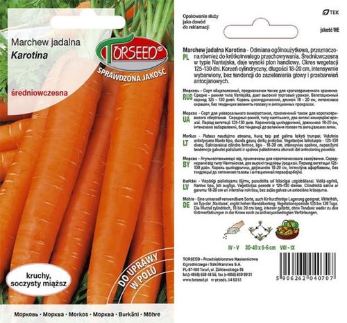 Nasiona Marchew Karotina Torseed 3g na Arena.pl
