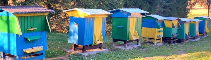 Naturalny Miód MNISZKOWY - TEGOROCZNY zdjęcie 2
