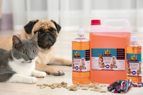 Olej z Łososia 1l dla psa i kota GoldDog na Arena.pl