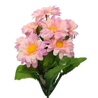 Bukiecik stokrotka fioletowy