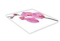 SZKLANA DESKA KUCHENNA 25x25 434e Różowa orchidea