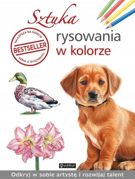 Sztuka rysowania w kolorze zdjęcie 1
