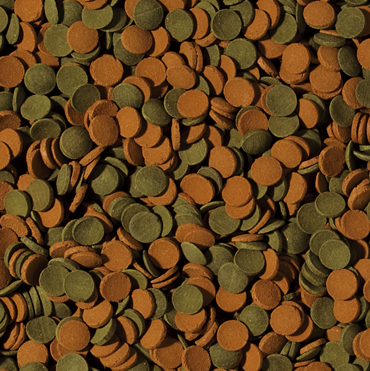 tropical mini wafers mix 250ml na Arena.pl