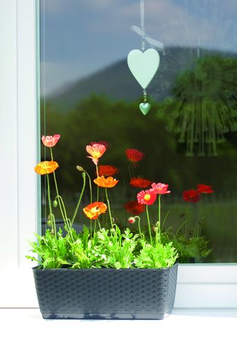 Doniczka podłużna DRL500P z podstawką | Antracyt na Arena.pl