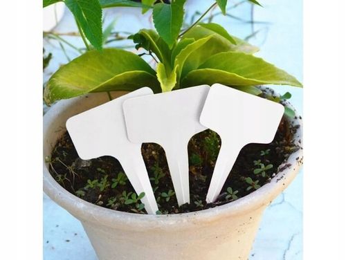 60x ETYKIETY TABLICZKI DO ROŚLIN SADZONEK + MARKER na Arena.pl