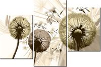 60 90CM OBRAZ 3 ELEM DMUCHAWCE SEPI ŚCIENNY DRUK PŁÓTNO