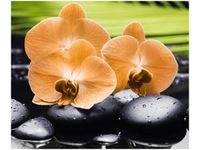 60X50CM STORCZYK POMARAŃCZOWY OBRAZ ŚCIAN DREWNIANE