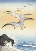 Plakat 50x70cm Five Seagulls, Koson Japoński Vintage do Salonu