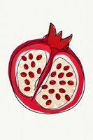 Plakat 61x91,5cm Nowoczesny Owoce I Granat I Pop Art Vintage