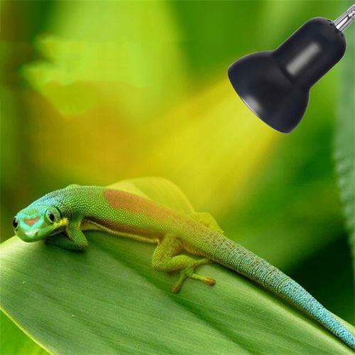 LAMPA GRZEWCZA DO AKWARIUM GADÓW ŻÓŁWIA WĘŻA Z 2 ŻARÓWKAMI UVA UVB 25 na Arena.pl