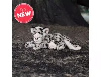 product-compare-61979289