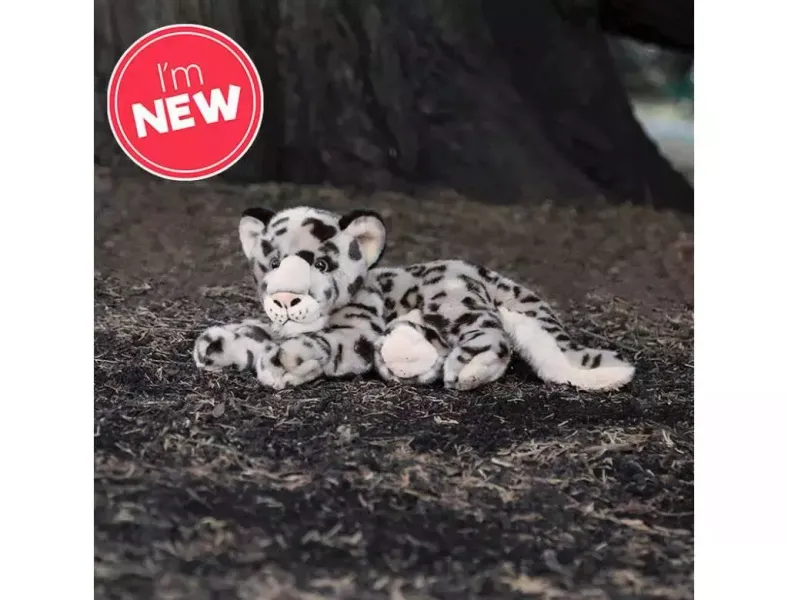 Pantera Śnieżna zdjęcie 1